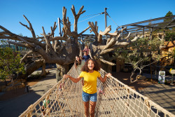 Around Town: Carousels at South Coast Plaza reopen to public Friday, June  25 - Los Angeles Times