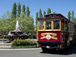 Napa Valley Wine Trolley Photo