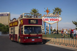 Big Bus Tours - Las Vegas Photo