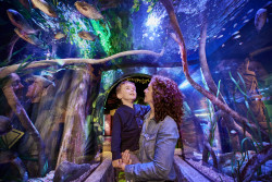 SEA LIFE  Aquarium - New Jersey Photo