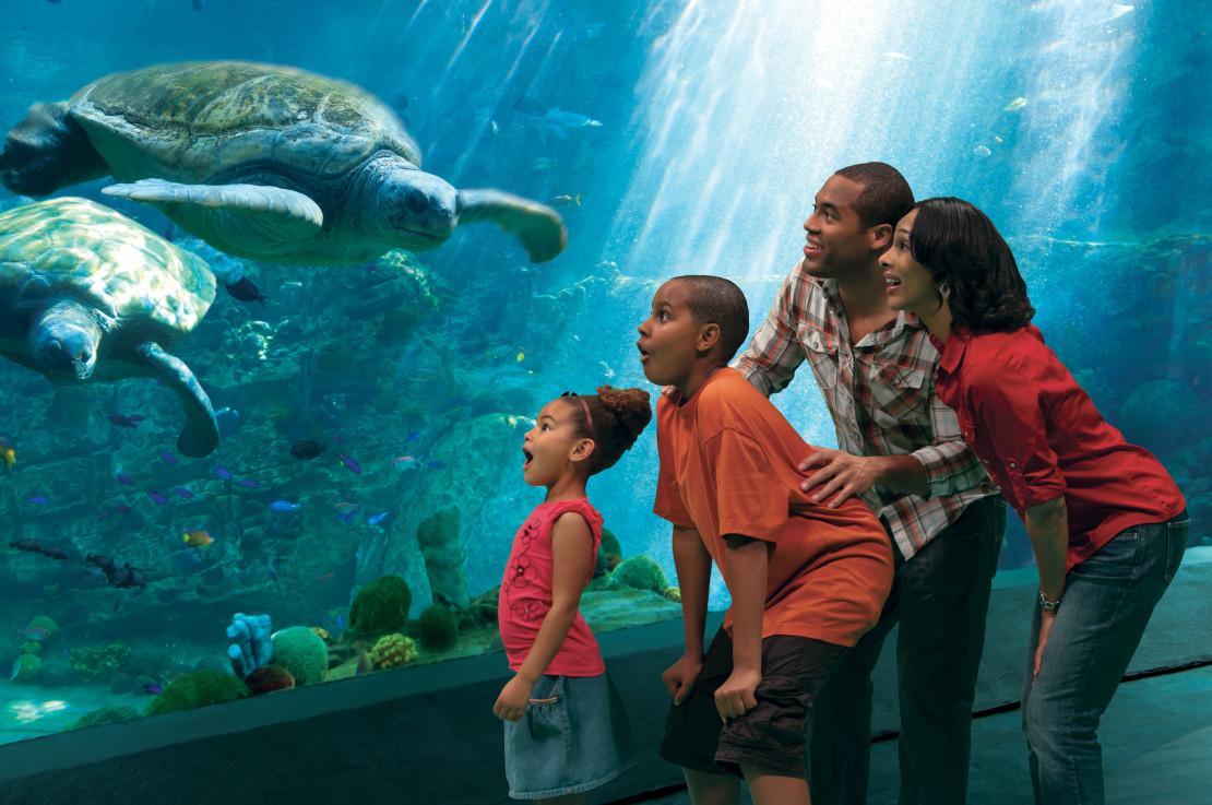 Ares Travel - Kids Go Free at Sea World!