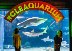 Greater Cleveland Aquarium Photo