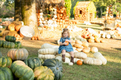 Cheekwood Estate & Gardens Photo