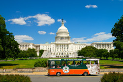 Old Town Trolley Tours of Washington DC Photo