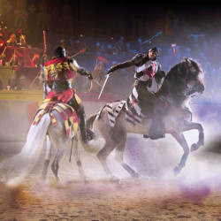 Medieval Times Arizona Photo
