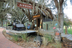 Boggy Creek Airboat Rides Photo