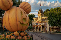 Disneyland&reg; Resort Photo
