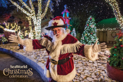 SeaWorld San Antonio Photo