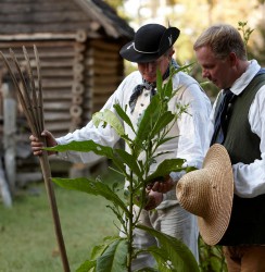 Jamestown Settlement and American Revolution Museum at Yorktown Photo