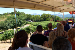 Sonoma Valley Wine Trolley Photo