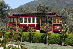 Sonoma Valley Wine Trolley Photo