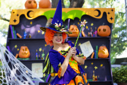 Busch Gardens Tampa Bay Photo