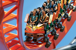 Busch Gardens Tampa Bay Photo