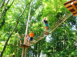 Ziplines & Ropes Courses at Nashville Shores Photo
