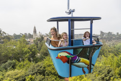 <b>San Diego Zoo</b> Photo