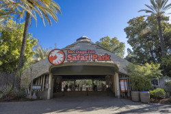 San Diego Zoo Safari Park Photo