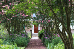 Andrew Jackson's Hermitage - Home of the People's President Photo