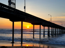 San Diego Photo Safari Photo