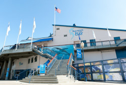 Aquarium of the Bay Photo