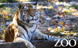 Philadelphia Zoo Photo