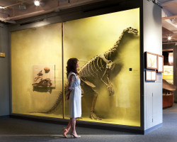 Boston CityPASS® Photo