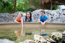 Texas State Aquarium Photo