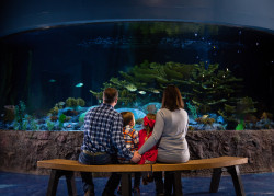 Living Shores Aquarium Photo