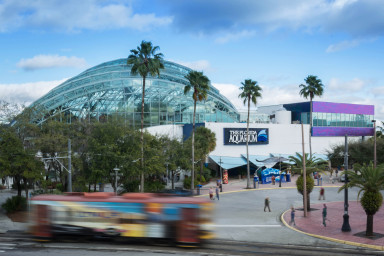 The Florida Aquarium