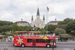 City Sightseeing New Orleans Photo