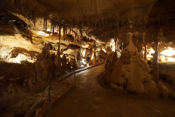 Inner Space Caverns - TTA Photo