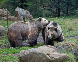San Francisco Zoo Photo