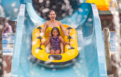 Schlitterbahn Waterpark New Braunfels Photo