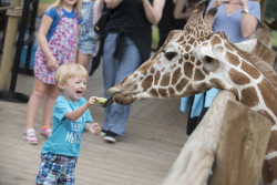 Columbus Zoo and Aquarium Photo