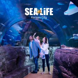 SEA LIFE Aquarium - Kansas City Photo