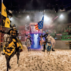 Medieval Times Baltimore / Washington DC Photo