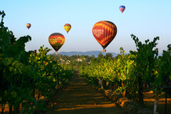 A Grape Escape Hot Air Balloon Adventure Photo