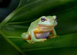 <b>Aquarium of the Pacific</b> Photo