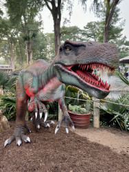 San Antonio Zoo Photo