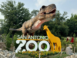 San Antonio Zoo Photo