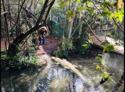 Gatorland Photo