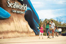 SeaWorld San Antonio - TTA Photo