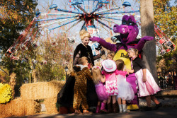Dutch Wonderland Photo