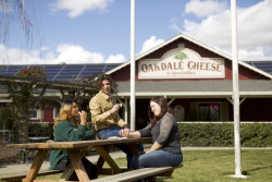 Petal to the Metal Photo