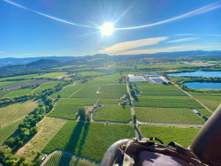 Wine Country Balloons Photo