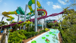 Adventure Island Tampa Photo