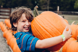 Lucky Ladd Farms Photo
