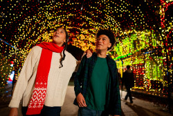 Kentucky Kingdom Theme & Water Park Photo