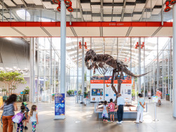 California Academy of Sciences Photo