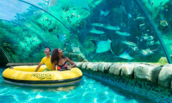 Aquatica San Antonio Photo