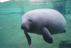 ZooTampa at Lowry Park Photo